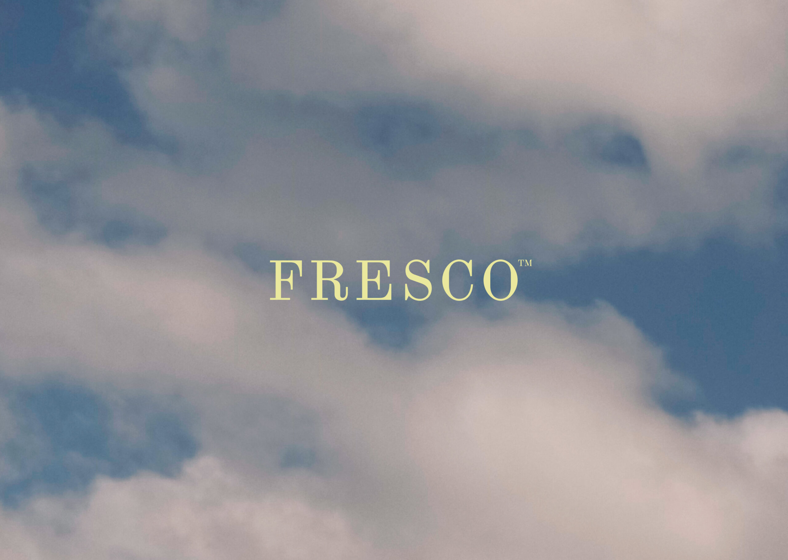 FRESCO BRAND & STRATEGY